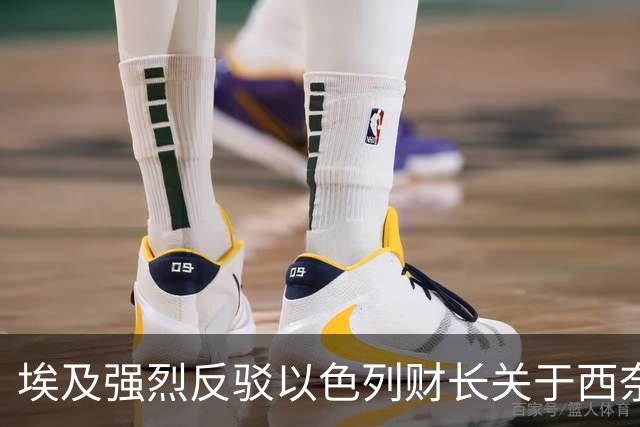 埃及强烈反驳以色列财长关于西奈半岛的威胁言论